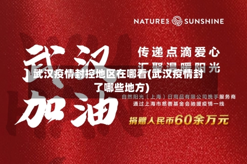 武汉疫情封控地区在哪看(武汉疫情封了哪些地方)