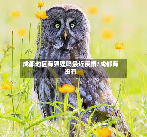 成都地区有狐狸吗最近疫情/成都有没有