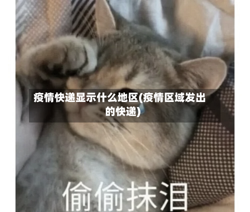 疫情快递显示什么地区(疫情区域发出的快递)