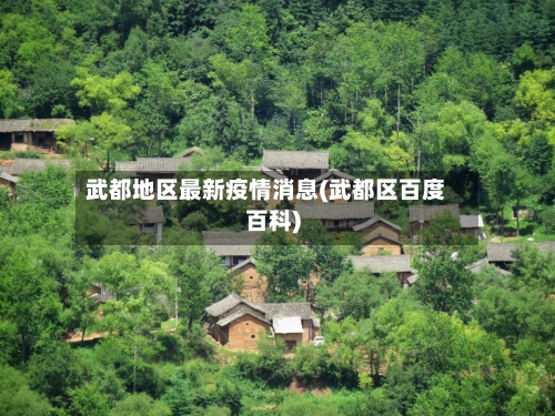 武都地区最新疫情消息(武都区百度百科)