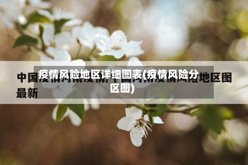 疫情风险地区详细图表(疫情风险分区图)
