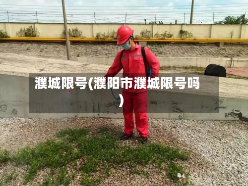 濮城限号(濮阳市濮城限号吗)