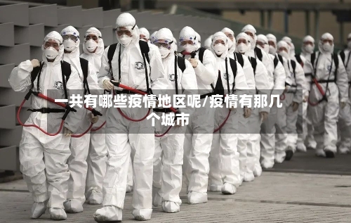 一共有哪些疫情地区呢/疫情有那几个城市