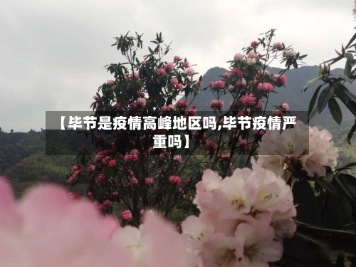 【毕节是疫情高峰地区吗,毕节疫情严重吗】