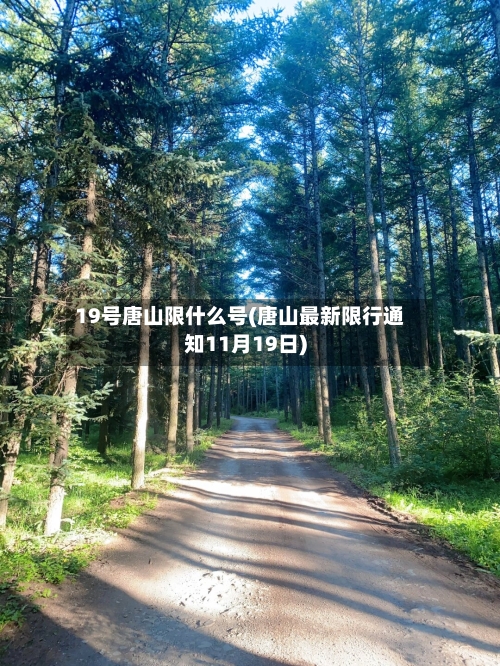 19号唐山限什么号(唐山最新限行通知11月19日)