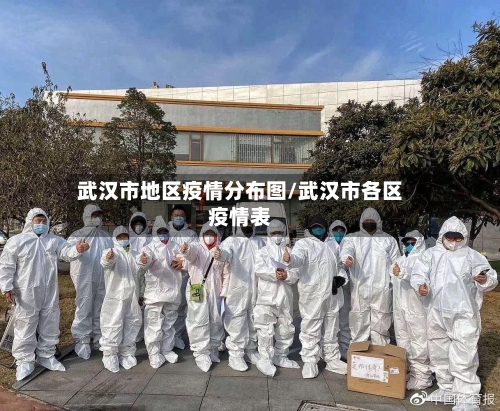 武汉市地区疫情分布图/武汉市各区疫情表
