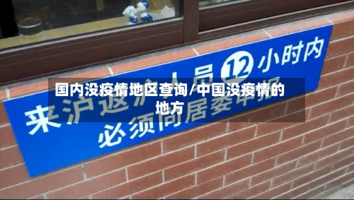 国内没疫情地区查询/中国没疫情的地方