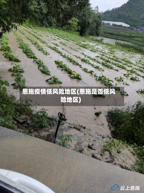 恩施疫情低风险地区(恩施是否低风险地区)