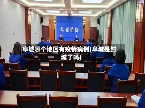 阜城哪个地区有疫情病例(阜城是封城了吗)