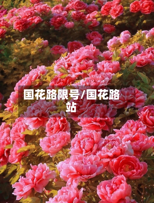 国花路限号/国花路站