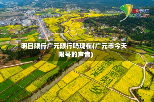 明日限行广元限行吗现在(广元市今天限号的声音)