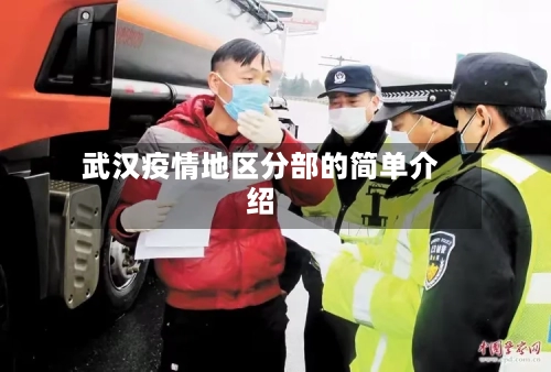 武汉疫情地区分部的简单介绍