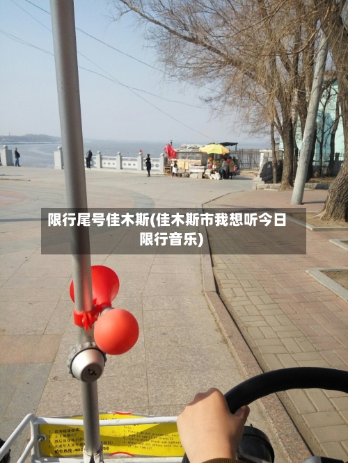 限行尾号佳木斯(佳木斯市我想听今日限行音乐)