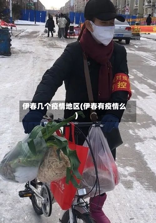 伊春几个疫情地区(伊春有疫情么)