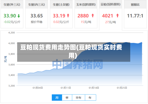 豆粕现货费用走势图(豆粕现货实时费用)