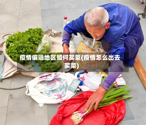 疫情偏远地区如何买菜(疫情怎么出去买菜)