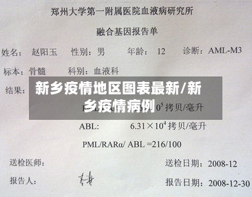新乡疫情地区图表最新/新乡疫情病例