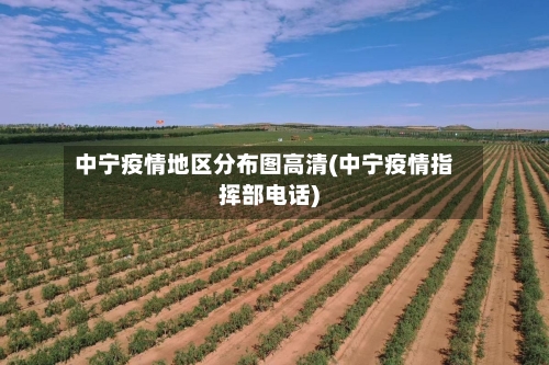 中宁疫情地区分布图高清(中宁疫情指挥部电话)