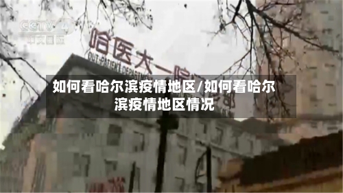 如何看哈尔滨疫情地区/如何看哈尔滨疫情地区情况