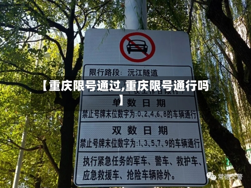 【重庆限号通过,重庆限号通行吗】
