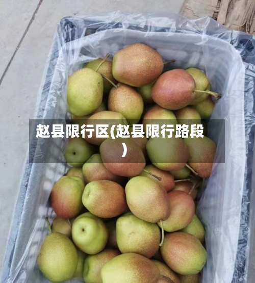 赵县限行区(赵县限行路段)