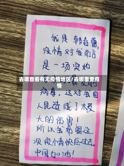 去哪查看有无疫情地区/去哪里查疫情