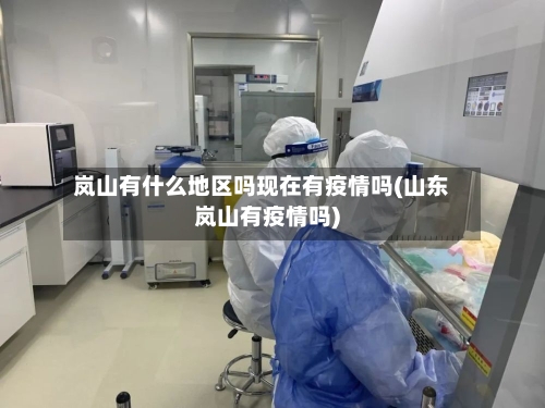 岚山有什么地区吗现在有疫情吗(山东岚山有疫情吗)