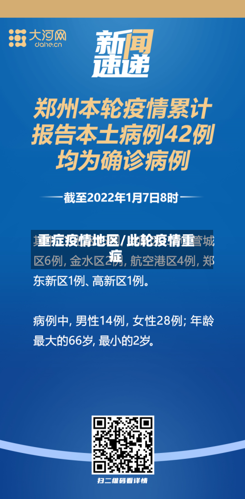 重症疫情地区/此轮疫情重症