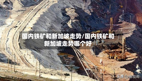 国内铁矿和新加坡走势/国内铁矿和新加坡走势哪个好