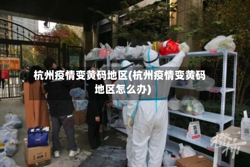 杭州疫情变黄码地区(杭州疫情变黄码地区怎么办)