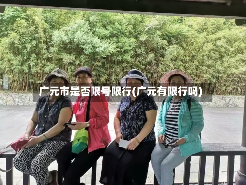 广元市是否限号限行(广元有限行吗)
