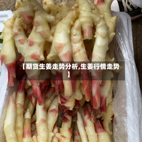 【期货生姜走势分析,生姜行情走势】