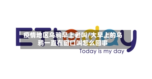 疫情地区乌鸦早上老叫/大早上的乌鸦一直在窗口叫怎么回事
