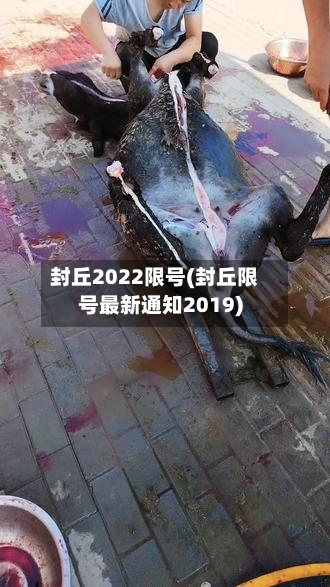 封丘2022限号(封丘限号最新通知2019)