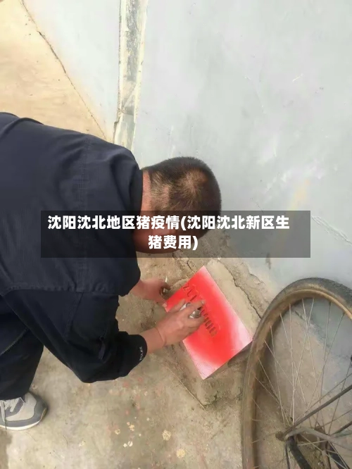 沈阳沈北地区猪疫情(沈阳沈北新区生猪费用)