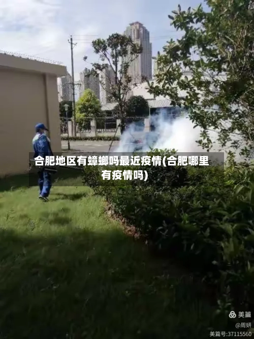合肥地区有蟑螂吗最近疫情(合肥哪里有疫情吗)