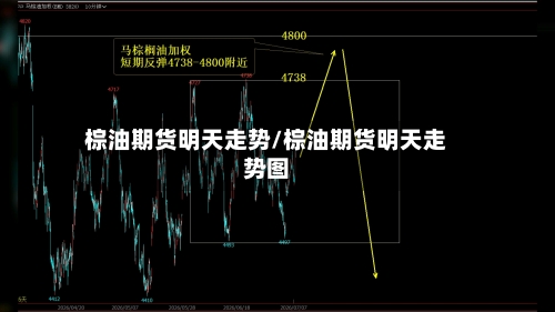 棕油期货明天走势/棕油期货明天走势图