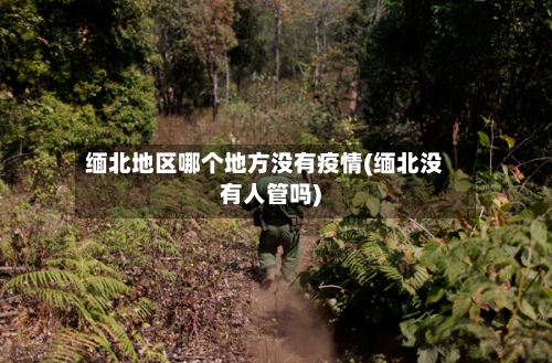 缅北地区哪个地方没有疫情(缅北没有人管吗)
