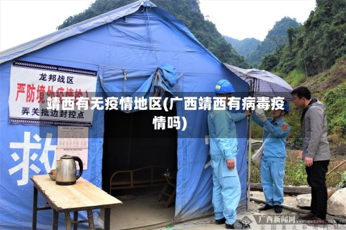 靖西有无疫情地区(广西靖西有病毒疫情吗)