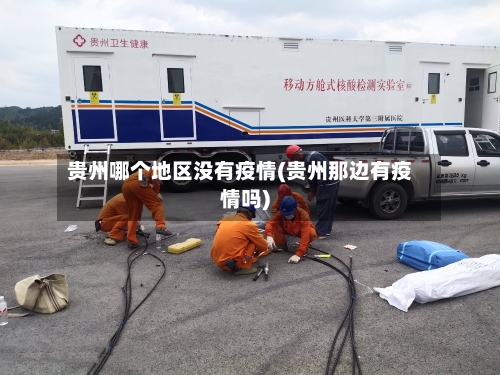 贵州哪个地区没有疫情(贵州那边有疫情吗)