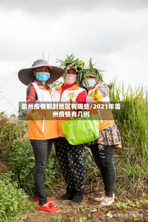 雷州疫情解封地区有哪些/2021年雷州疫情有几例