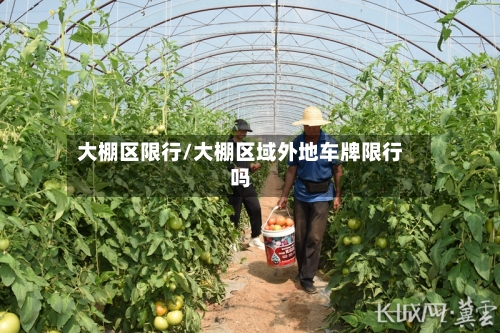 大棚区限行/大棚区域外地车牌限行吗