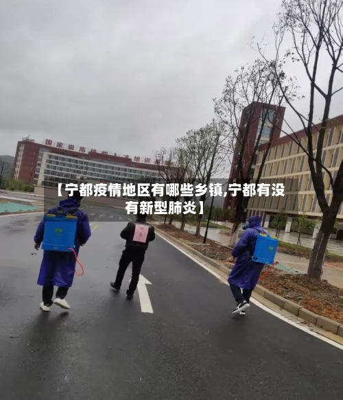 【宁都疫情地区有哪些乡镇,宁都有没有新型肺炎】