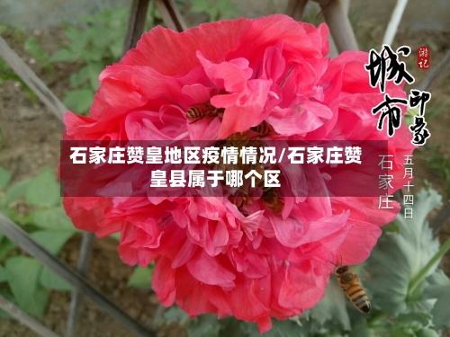 石家庄赞皇地区疫情情况/石家庄赞皇县属于哪个区