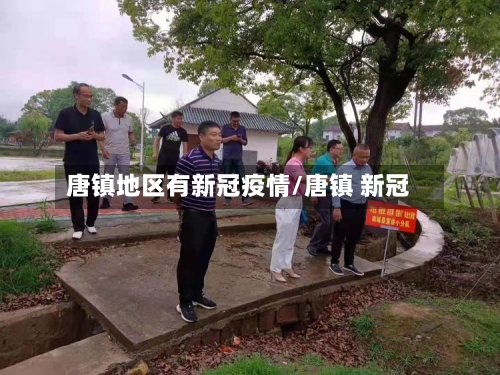唐镇地区有新冠疫情/唐镇 新冠