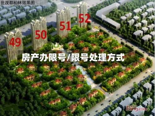 房产办限号/限号处理方式