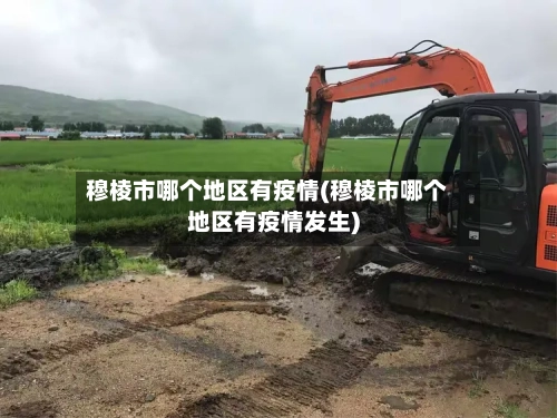 穆棱市哪个地区有疫情(穆棱市哪个地区有疫情发生)