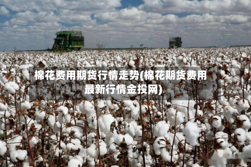 棉花费用期货行情走势(棉花期货费用最新行情金投网)