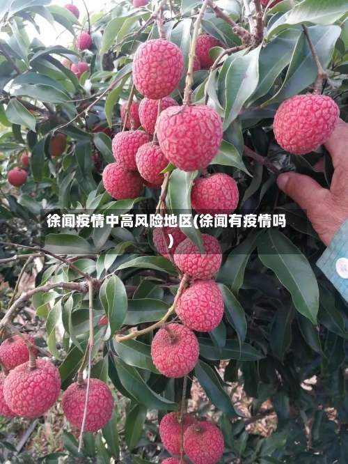徐闻疫情中高风险地区(徐闻有疫情吗)