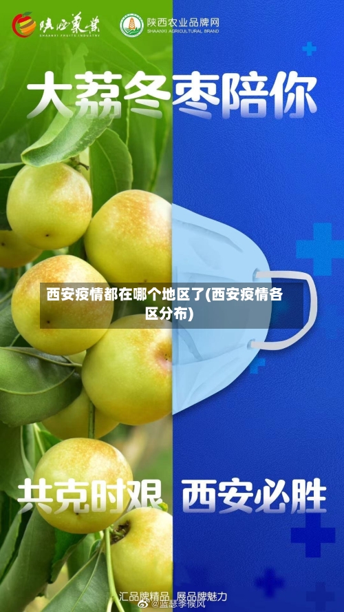 西安疫情都在哪个地区了(西安疫情各区分布)